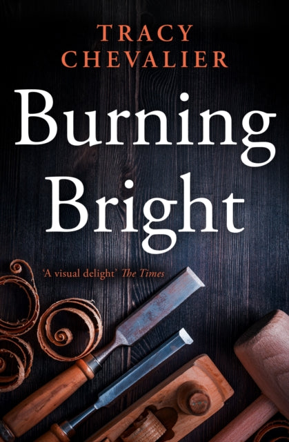 Burning Bright-9780007178360