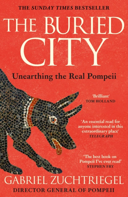 The Buried City : The Revelatory New History from the Director of Pompeii - a Sunday Times Bestseller-9781399731195
