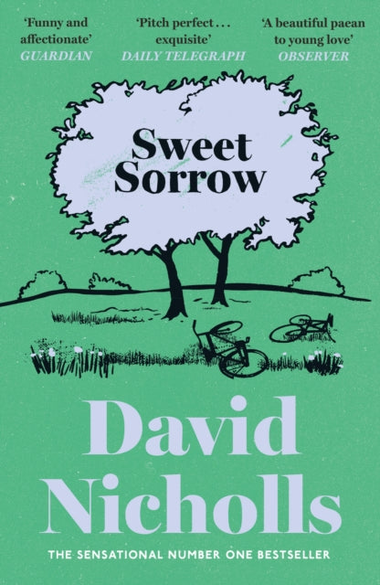 Sweet Sorrow : The Sunday Times bestselling novel of first love from the author of ONE DAY and YOU ARE HERE-9781399765237