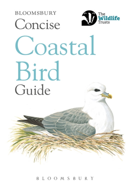 Concise Coastal Bird Guide-9781472963819