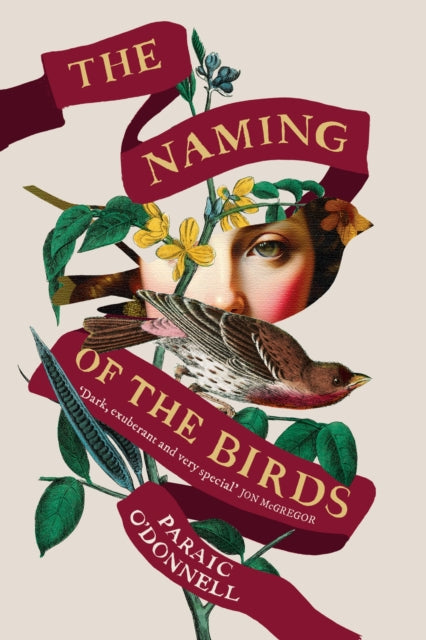 The Naming of the Birds-9781474614887