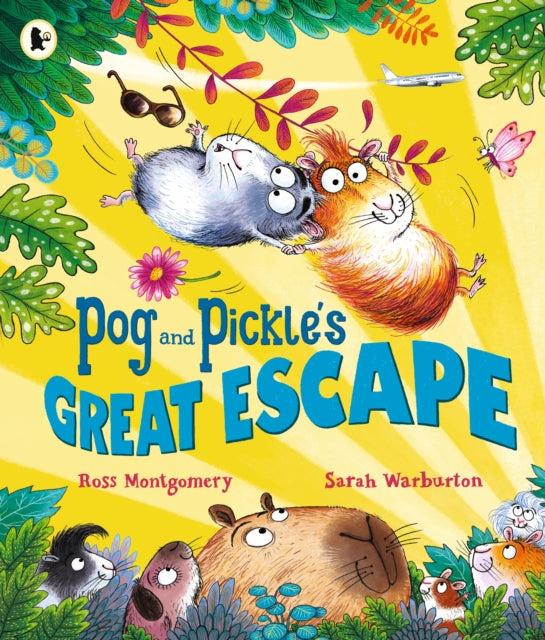 Pog and Pickle's Great Escape : A laugh-out-loud guinea pig adventure story for summer holidays by multi-award-winning author Ross Montgomery,  ages 3-7-9781529523058