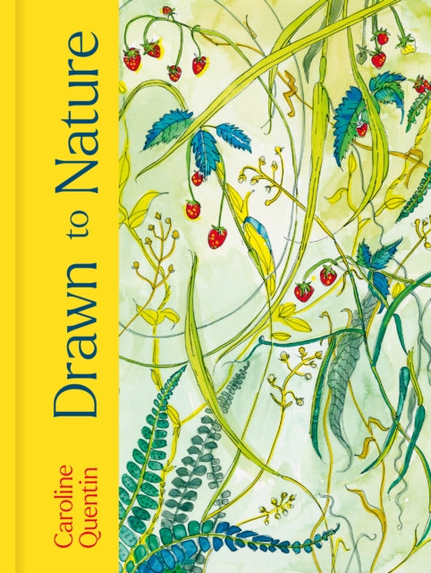 Drawn to Nature-9781805701347