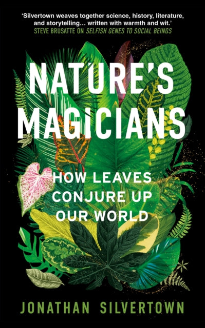 Nature's Magicians : The Hidden Powers of Leaves-9781836432678