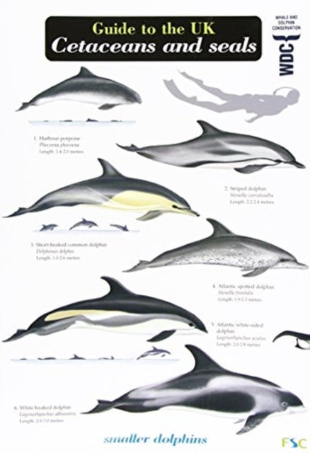 Guide to the UK Cetaceans and Seals-9781908819079
